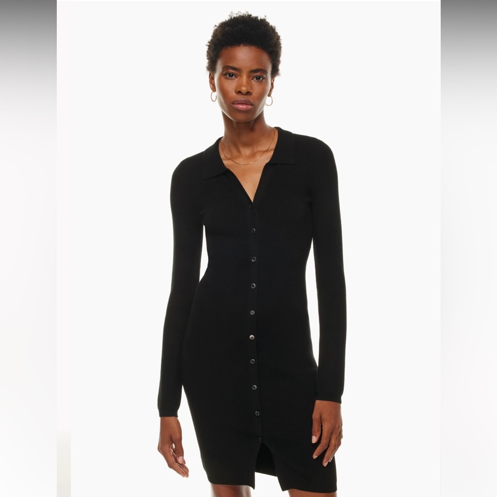 Aritzia Cove Sweater Dress
